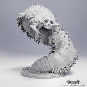 The False Worm - Limited Physical Release