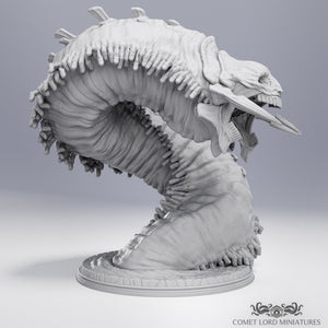 The False Worm - Limited Physical Release