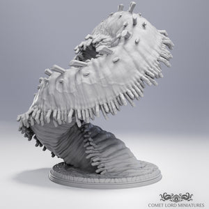 The False Worm - Limited Physical Release