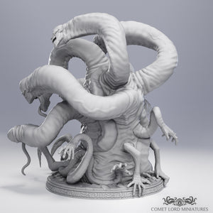 The False Hydra - Limited Physical Release
