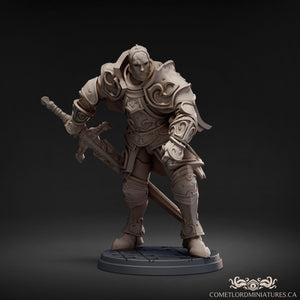 Knight of The Golden Will - Digital Version