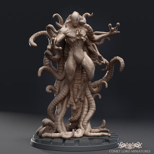 Starseeker - Digital Version