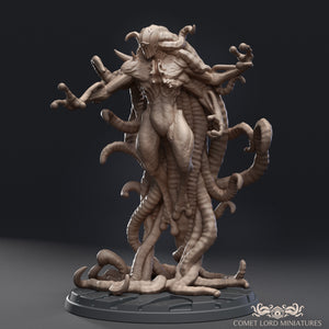 Starseeker - Digital Version