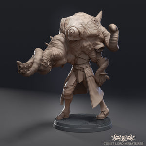 Warped Eisenreich Soldiers - Digital Version