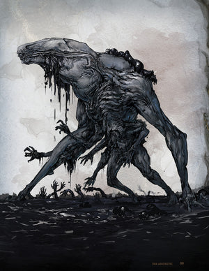 The Comet Codex - PDF