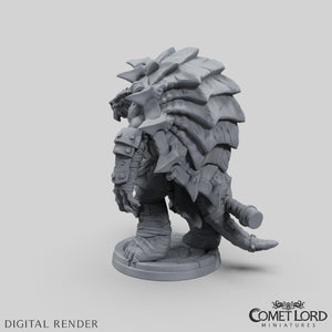 Torok, The Tortle Bloodhunter - Physical Version